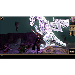 Switch mäng Neverwinter Nights