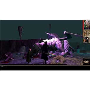 Switch game Neverwinter Nights Collector's Pack