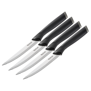 Knife set Tefal CMMF2100094308