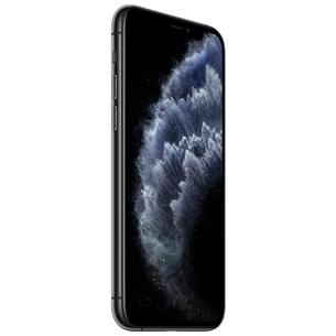 Apple iPhone 11 Pro (256 ГБ)