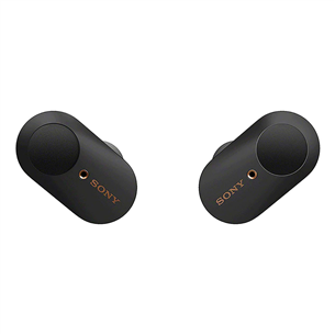 Sony WF1000XM3, black - True-wireless Earbuds