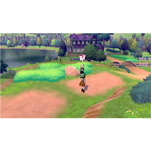 Switch mängud Pokemon Sword + Shield