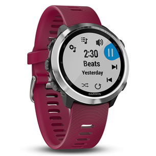 GPS watch Garmin Forerunner 645 Music