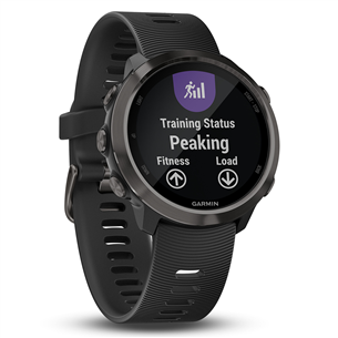 GPS watch Garmin Forerunner 645 Music