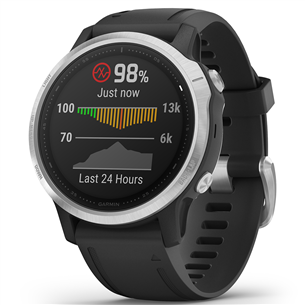 Мультиспортивные часы Garmin fēnix 6s