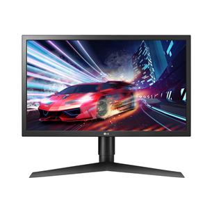 24'' Full HD LED TN monitor LG