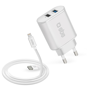 Wall charger + Lightning cable SBS (1.2 m)