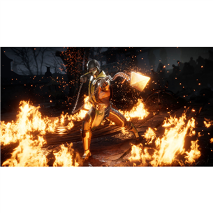 Игра Mortal Kombat 11 для PlayStation 4