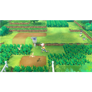 Игра Pokémon: Let's Go, Pikachu! для Nintendo Switch