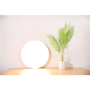 Xiaomi Mi LED Smart Ceiling Light