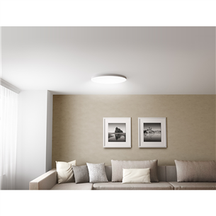 Nutikas valgusti Xiaomi Mi LED Ceiling Light