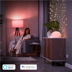 Philips Hue Smart Plug