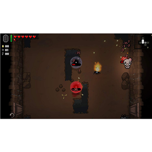 Игра для PlayStation 4, The Binding of Isaac Afterbirth+