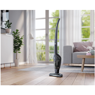 Cordless vacuum cleaner Electrolux Ergorapido