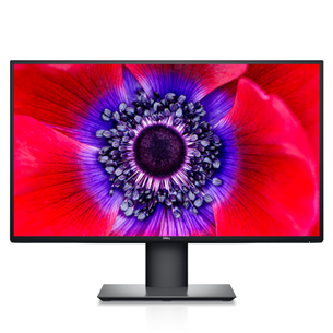 Dell U2520D, 25'', QHD, LED IPS, USB-C, black - Monitor