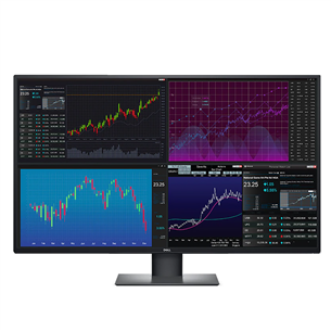 Dell U4320Q, 43'', 4K UHD, LED IPS, hall/must - Monitor