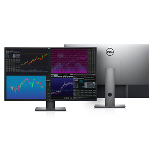 Dell U4320Q, 43'', 4K UHD, LED IPS, hall/must - Monitor