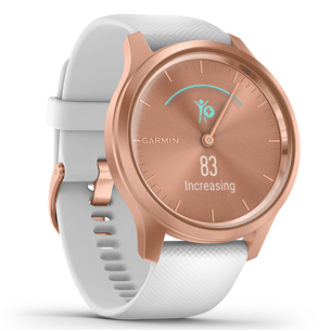 Smart watch Garmin Vivomove Style