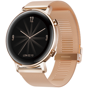 Smart watch Huawei Watch GT 2 (42 mm)