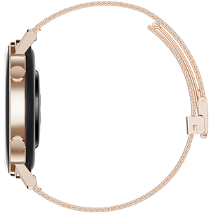 Smart watch Huawei Watch GT 2 (42 mm)