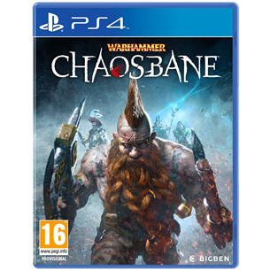 Игра для PlayStation 4, Warhammer: Chaosbane