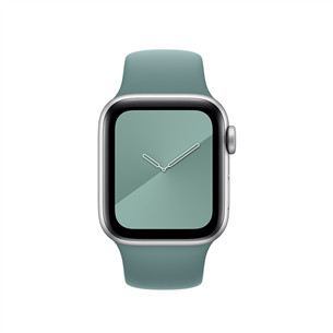 Vahetusrihm Apple Watch Cactus Sport Band - Regular 40mm