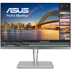 ASUS ProArt PA24AC, 24'', WUXGA, LED IPS, gray - Monitor