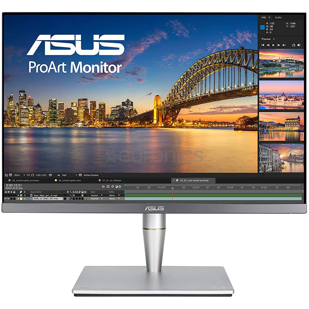 ASUS ProArt PA24AC, 24'', WUXGA, LED IPS, gray - Monitor
