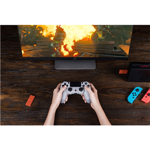 Адаптер 8BitDo USB Wireless для Nintendo Switch