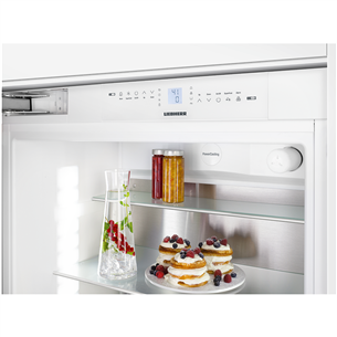 Интегрируемый холодильник Liebherr (203 см)