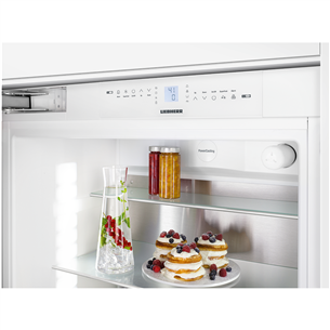 Built - in refrigerator Liebherr (203 cm)