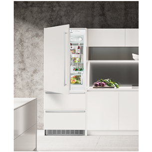 Built - in refrigerator Liebherr (203 cm)