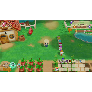 Switch mäng Story of Seasons: Friends of Mineral Town