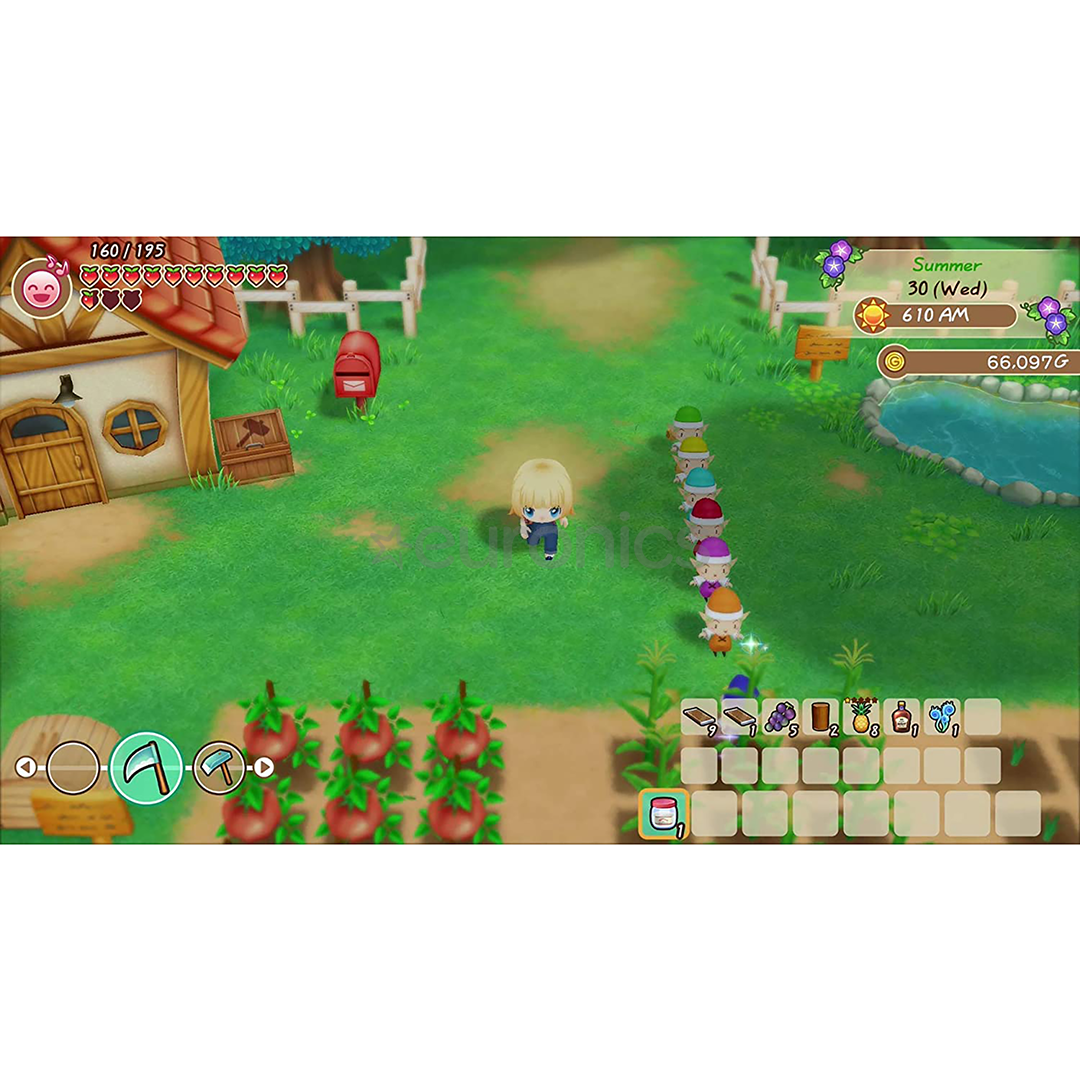 Switch mäng Story of Seasons: Friends of Mineral Town