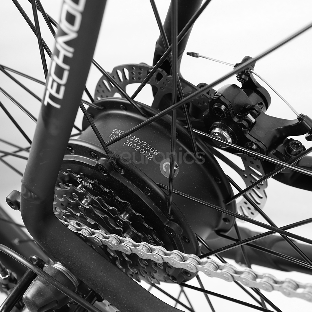 momo design bike price