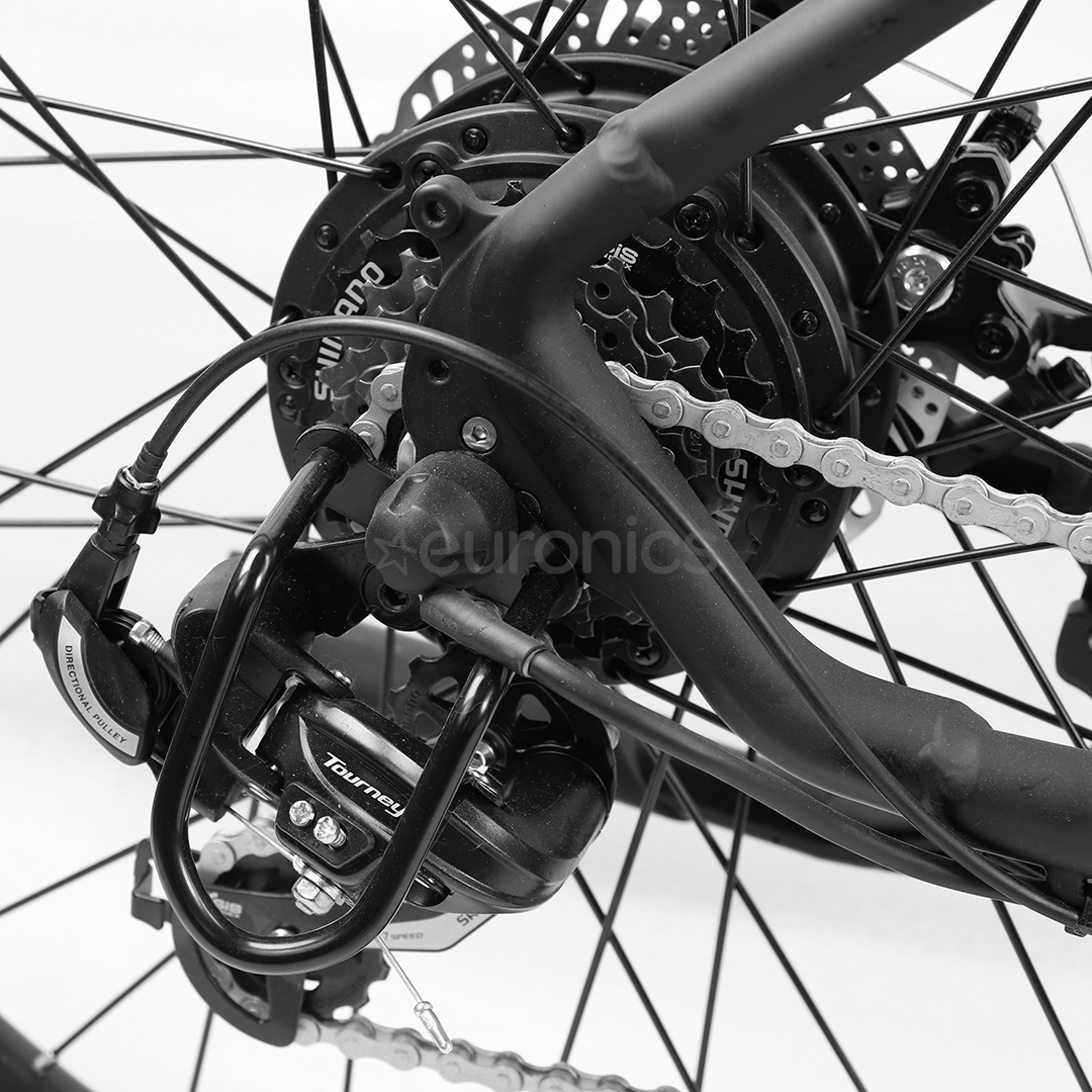 momo design bike price