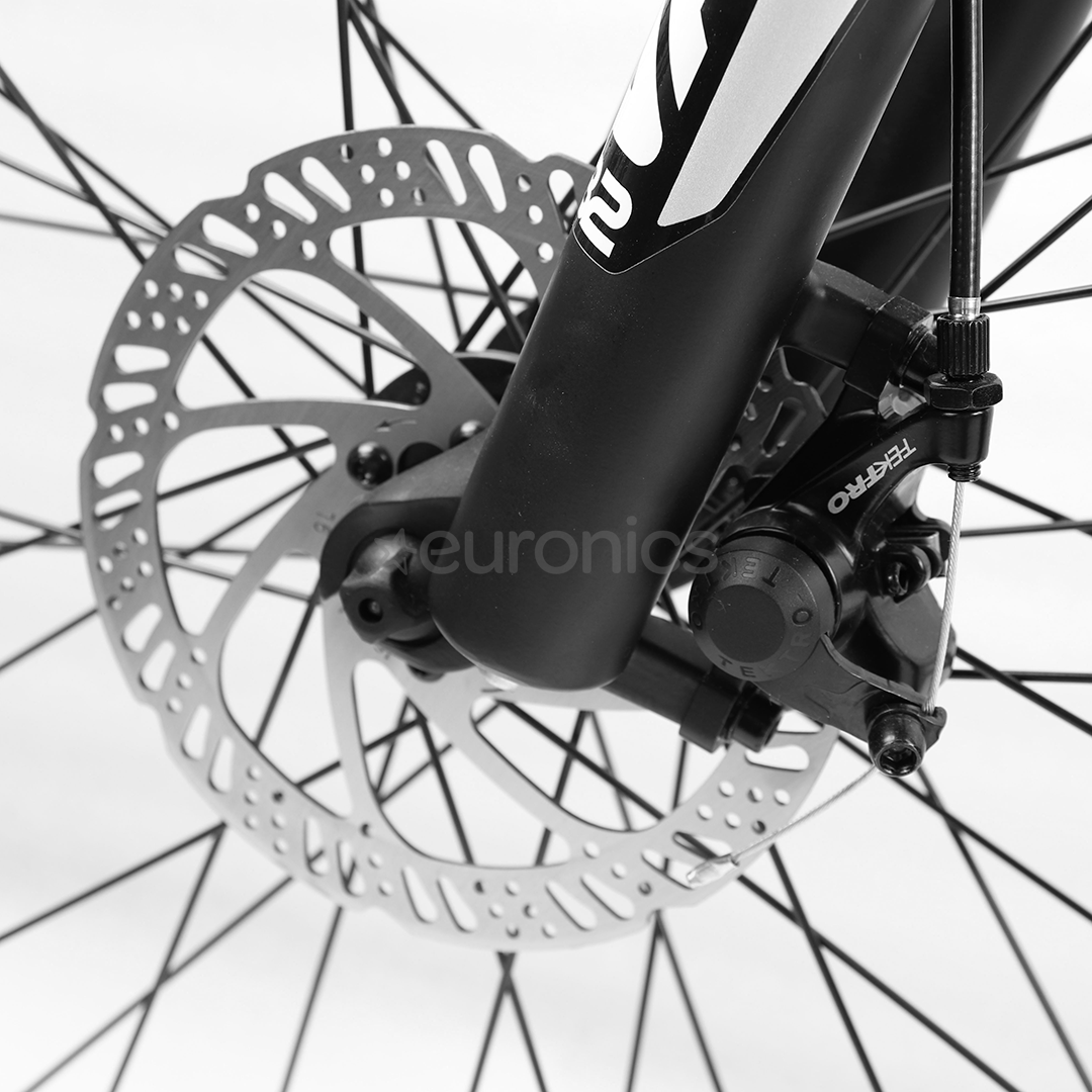 momo design bike price