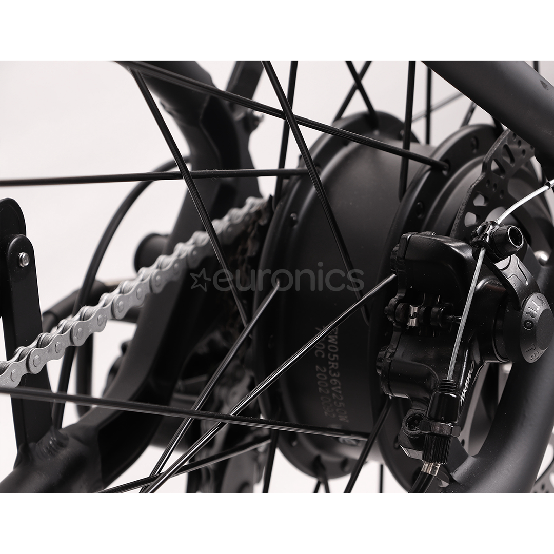 momo design bike price
