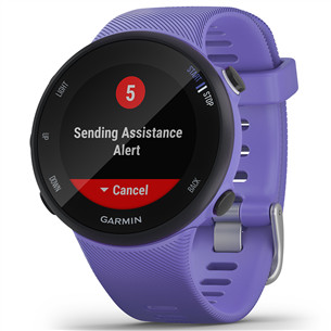 Спортивные смарт-часы Garmin Forerunner 45S