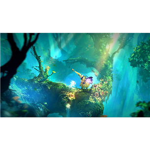 Игра Ori and the Will of the Wisps для Xbox One