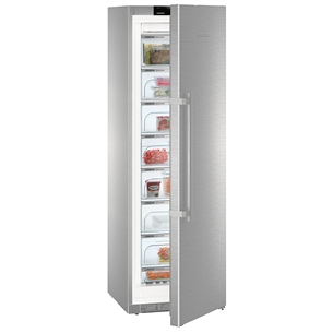 Freezer Liebherr (277 L)