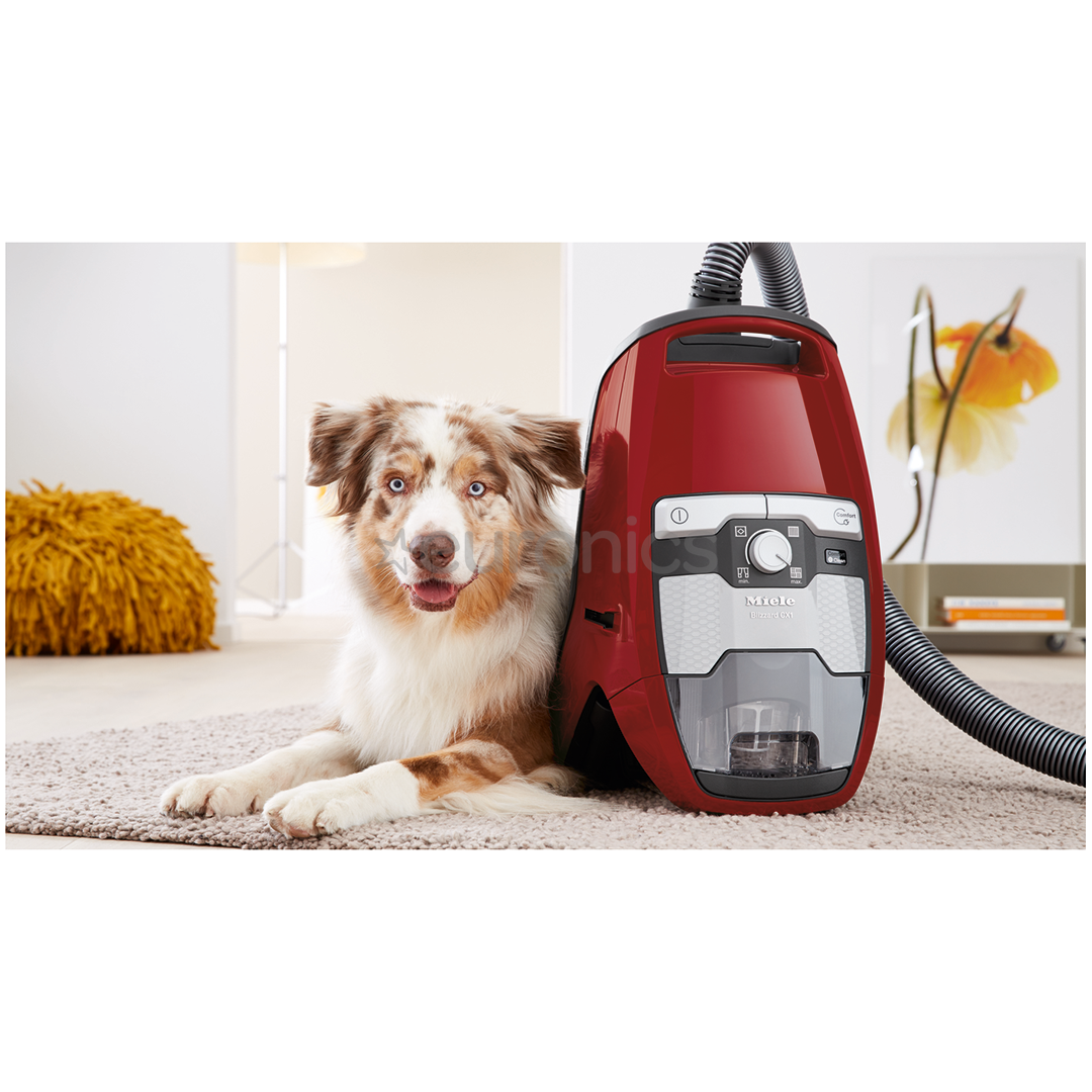 Tolmuimeja Miele Blizzard CX1 Cat & Dog PowerLine