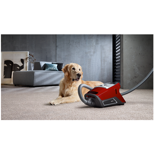 Miele Blizzard CX1 Cat & Dog PowerLine, 890 Вт, без мешка, красный - Пылесос