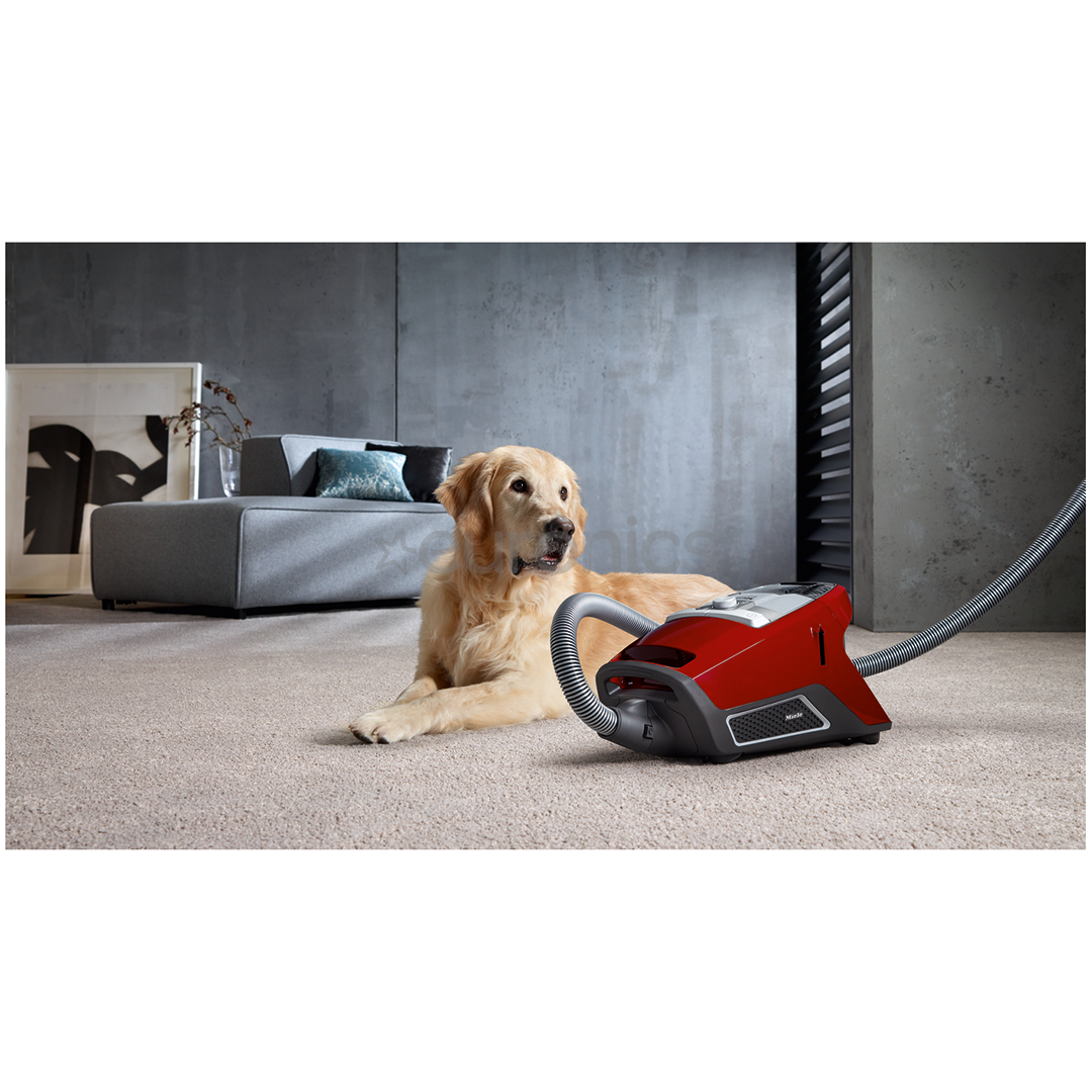Tolmuimeja Miele Blizzard CX1 Cat & Dog PowerLine