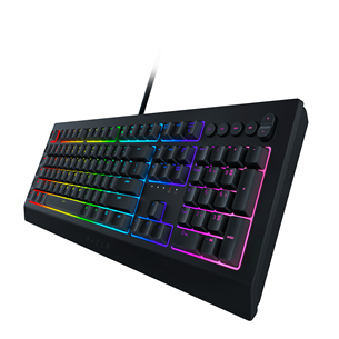 Razer Cynosa V2, SWE, must - Klaviatuur