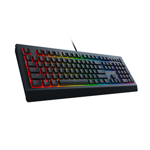 Razer Cynosa V2, RUS, black, RGB - Keyboard