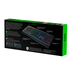 Razer Cynosa V2, RUS, black, RGB - Keyboard