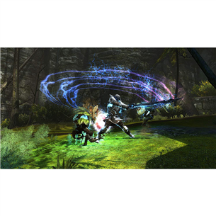 Игра Kingdoms of Amalur: Re-Reckoning для PlayStation 4
