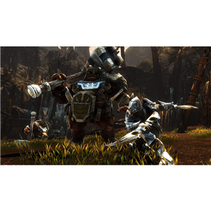 PS4 game Kingdoms of Amalur: Re-Reckoning