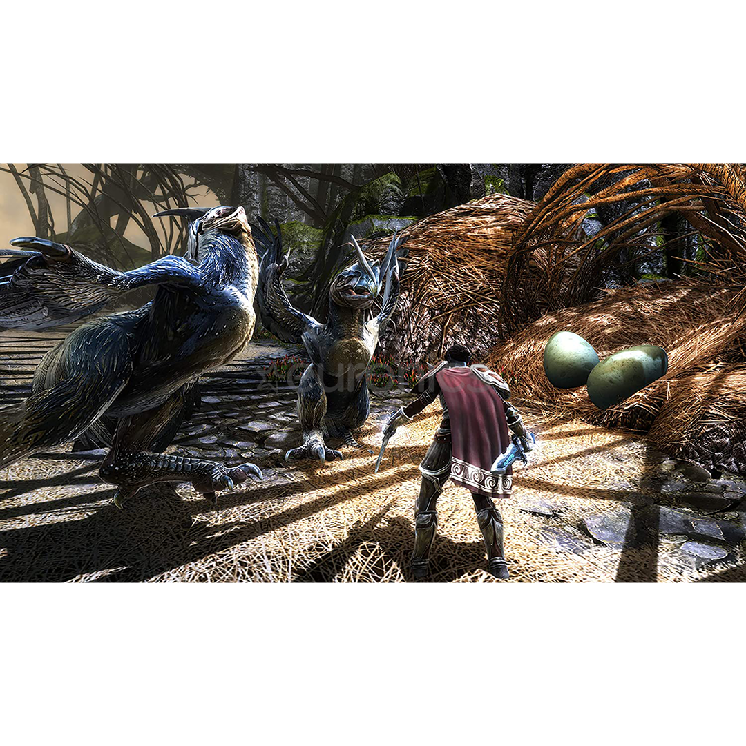 PS4 mäng Kingdoms of Amalur: Re-Reckoning